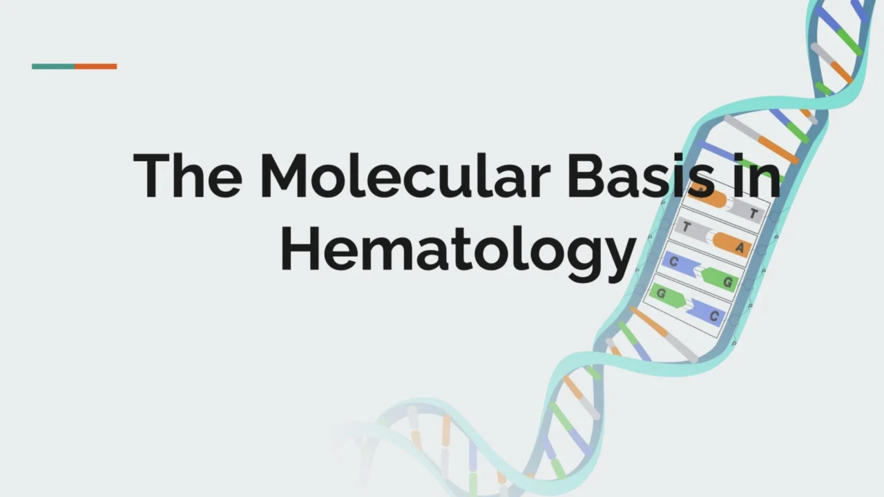 Yara Mahmoud: The Molecular Basis in Hematology