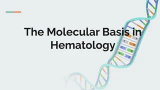 Yara Mahmoud: The Molecular Basis in Hematology