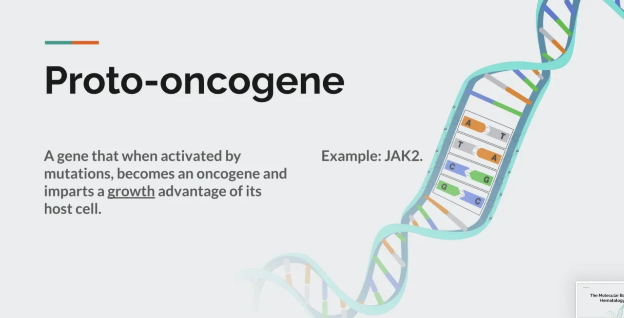Yara Mahmoud: The Molecular Basis in Hematology