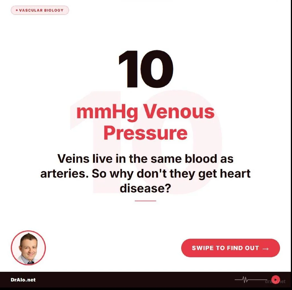 Mohammed Alo: Arteries And Veins Are Structurally Built For Different Jobs