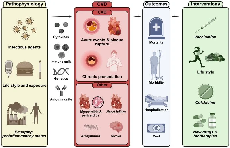 Francois Roubille: New ESC Consensus on Inflammation in Coronary Syndromes 1 Francois Roubille: New ESC Consensus on Inflammation in Coronary Syndromes