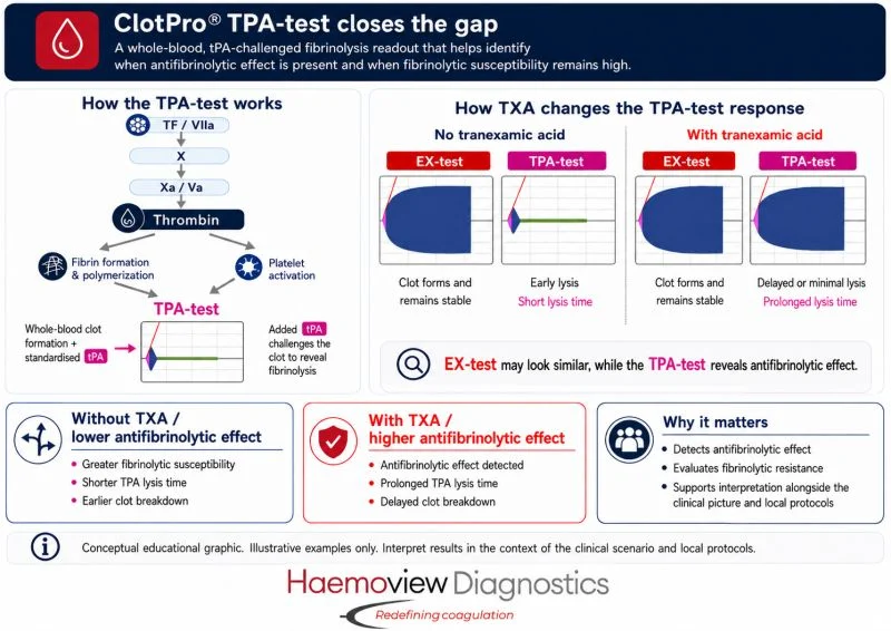 Violeta Jardin: The Missing Link in TXA Use for Postpartum Hemorrhage 1 Violeta Jardin: The Missing Link in TXA Use for Postpartum Hemorrhage