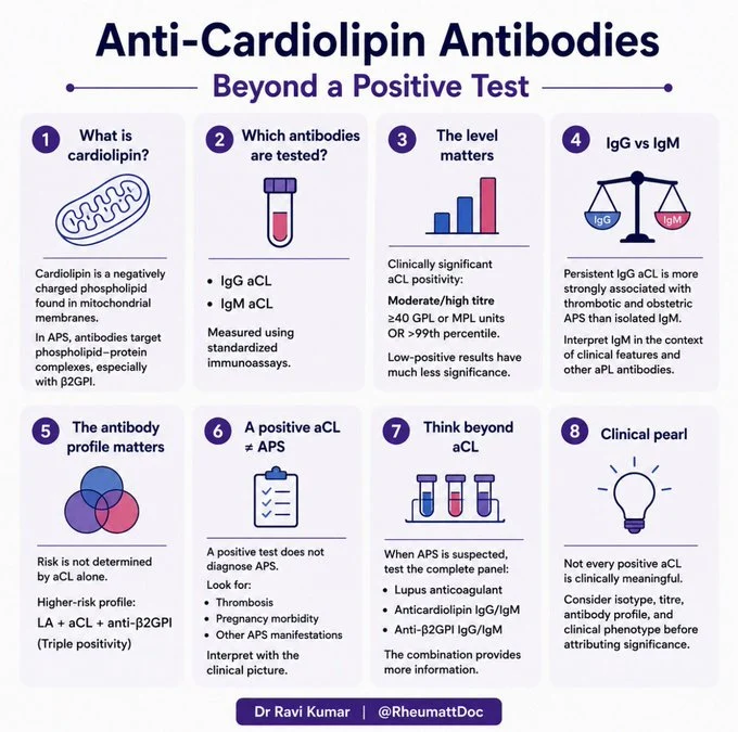 Ravi Kumar: Anti-Cardiolipin Antibodies - Beyond a Positive Test 1 Ravi Kumar