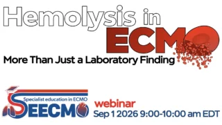 Marta Velia Antonini: Hemolysis in ECMO - More Than Just a Laboratory Finding
