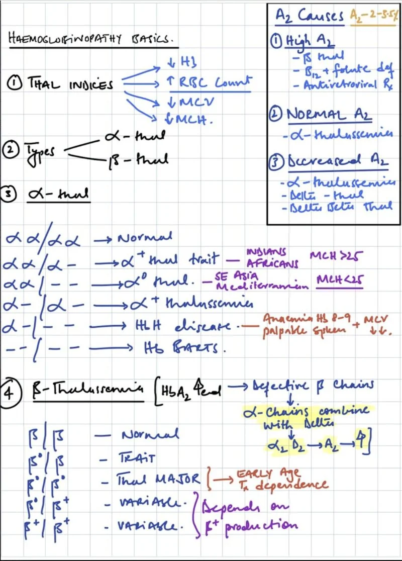 Hisam Siddiqi: Haemoglobinopathy Basics - A Quick Guide to Thalassaemia 1 Hisam Siddiqi