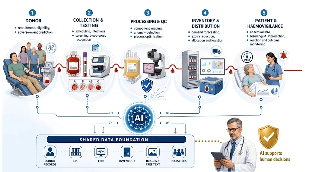 From Prediction to Practice: Implementing Artificial Intelligence in Transfusion Medicine