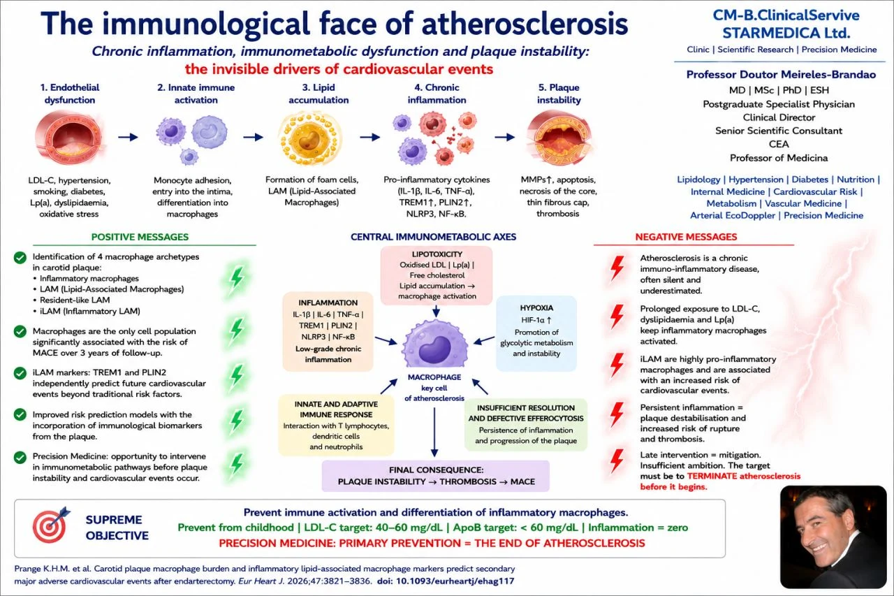 J. Meireles-Brandao: The Immunological Face of Atherosclerosis