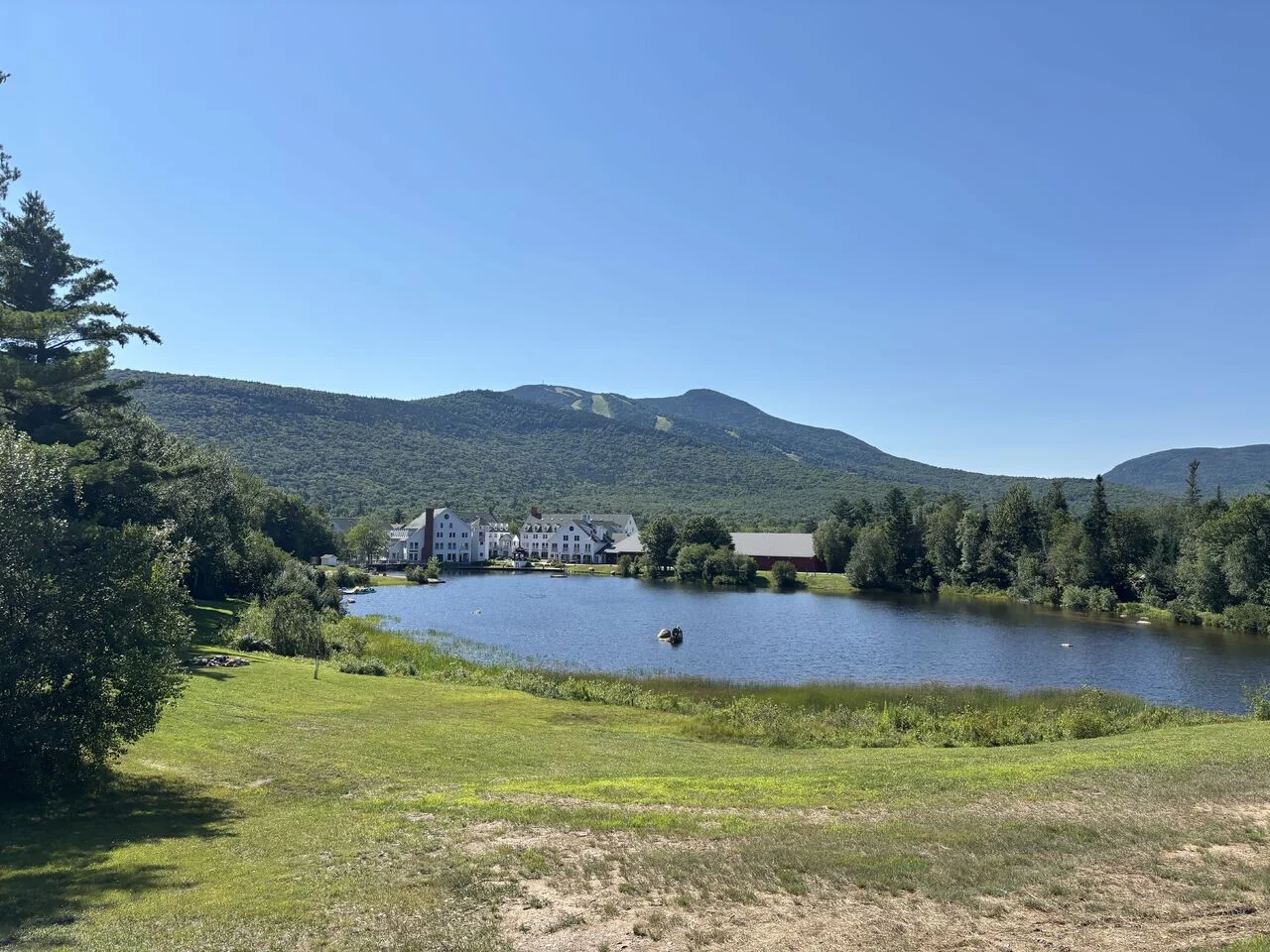 Ashley Brown: An Incredible Week at the Hemostasis GRC 1 Ashley Brown: An Incredible Week at the Hemostasis GRC