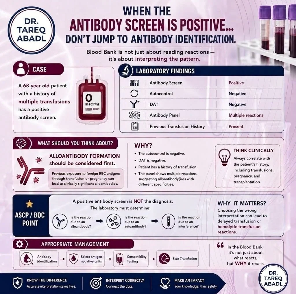 Tareq Abadl: A Positive Antibody Screen is Not The Diagnosis