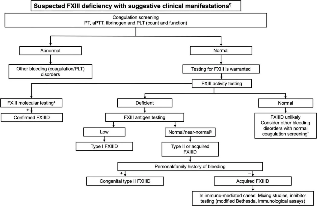 Rahaf M. Altahan: Diagnosis and Management of Factor XIII Deficiency 1 Rahaf M. Altahan: Diagnosis and Management of Factor XIII Deficiency