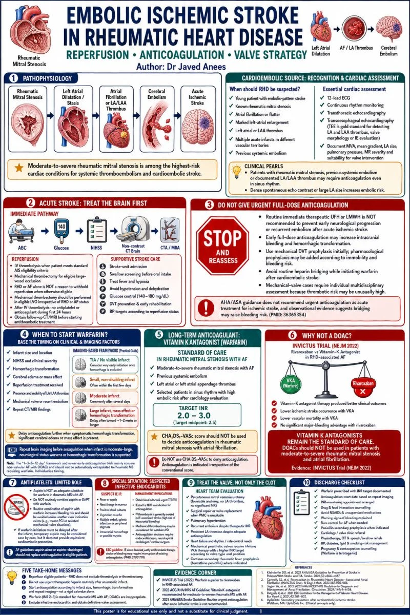 Javed Anees: When Rheumatic Heart Disease Causes Stroke 1 Javed Anees: When Rheumatic Heart Disease Causes Stroke