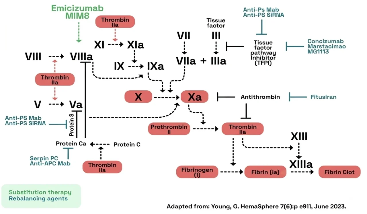 The Evolving Treatment Landscape of Hemophilia: From Factor Replacement to Gene Therapy