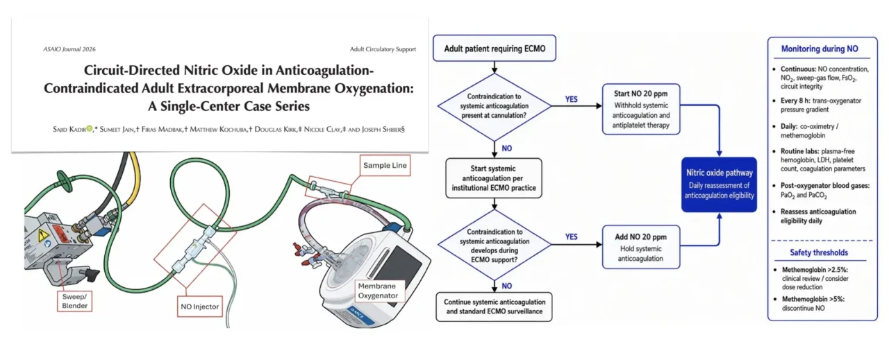 Marta Velia Antonini: Can Nitric Oxide Protect the ECMO Circuit Without Systemic Anticoagulation?