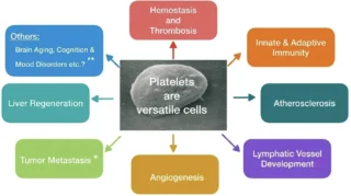 New Frontiers in Platelet Biology - BJHaem