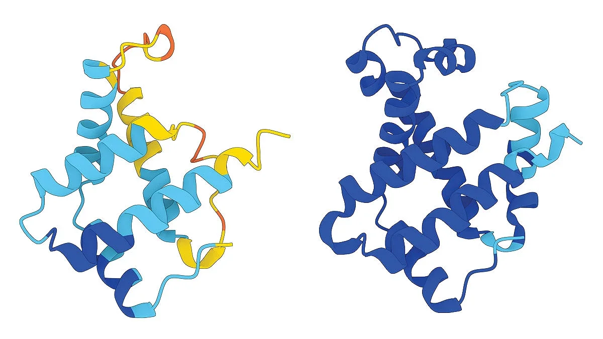 Isabella Presch: A New AI Approach to Protein Engineering