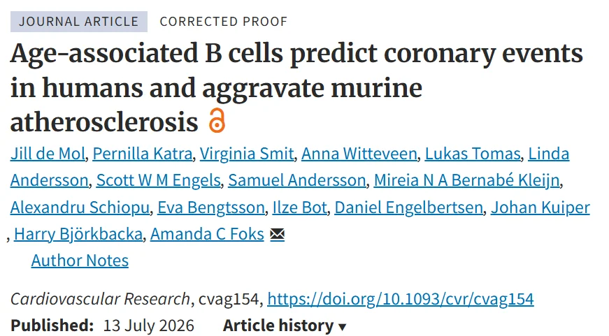 Jill de Mol: How Age-Associated B Cells May Worsen Atherosclerosis