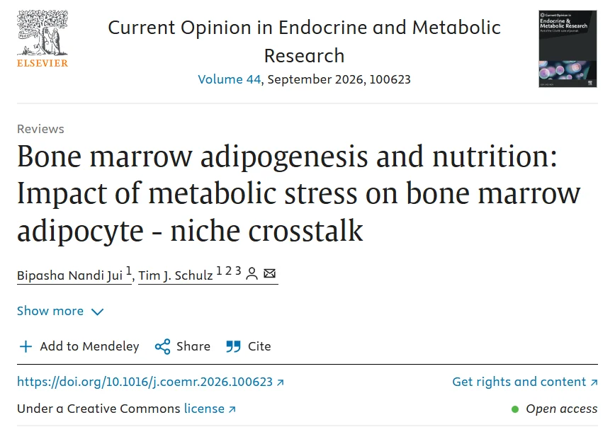 Bipasha Nandi Jui: The Surprising Role of Fat Inside Bone Marrow 1 Bipasha Nandi Jui
