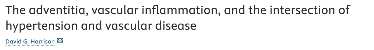 J. Meireles-Brandao: Hypertension, Inflammation and Lipoprotein Disease