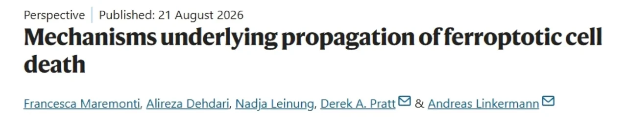 Andreas Linkermann: Decoding the Chain Reaction of Ferroptotic Cell Death 1 Andreas Linkermann: Decoding the Chain Reaction of Ferroptotic Cell Death
