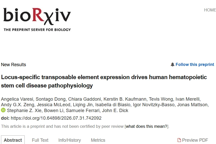 Angelica Varesi: New Insights into Hematopoietic Stem Cell Biology