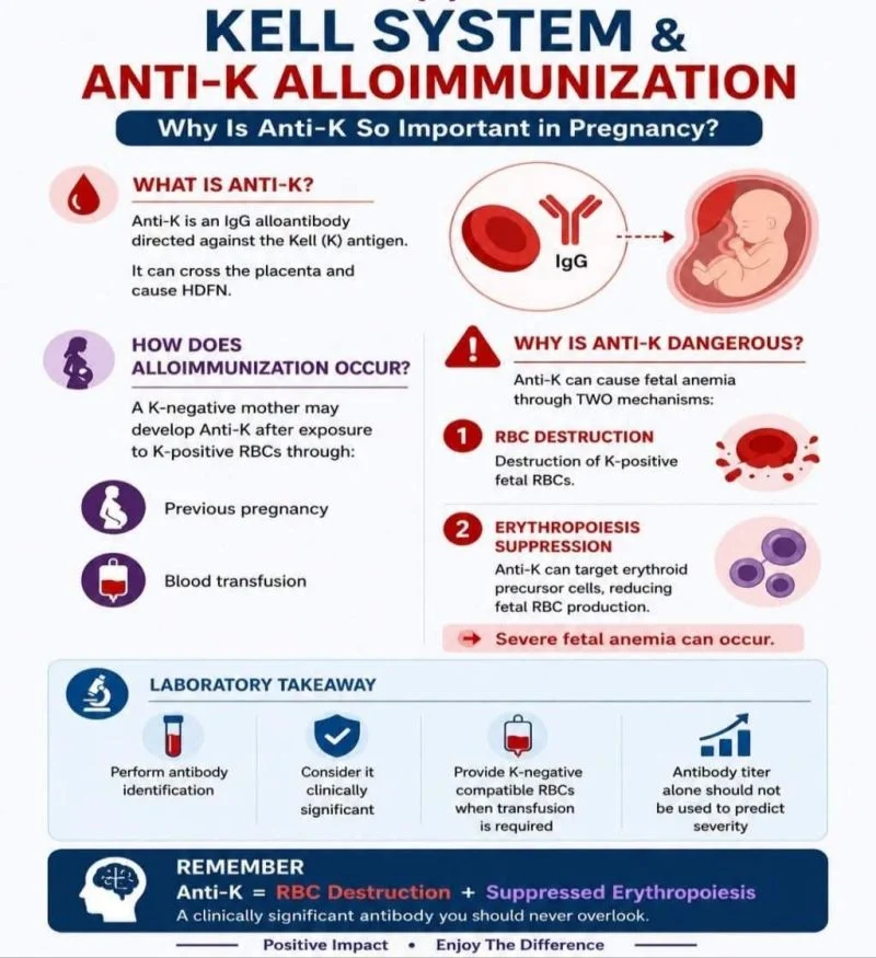 Tareq Abadl: Kell System and Anti-K Alloimmunization