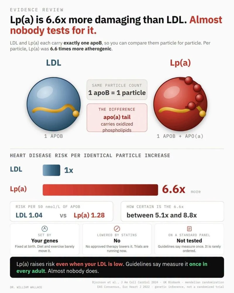 William Wallace: Is Your Cholesterol Test Missing Your Biggest Inherited Risk? 1 William Wallace: Is Your Cholesterol Test Missing Your Biggest Inherited Risk?