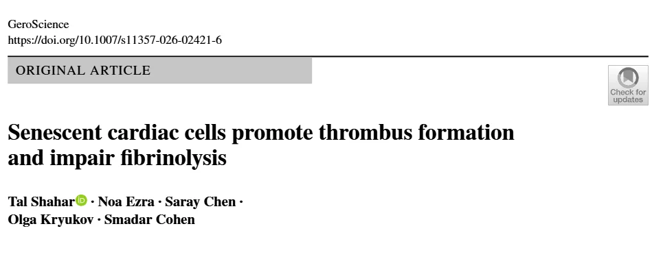 Noa Ezra: How Senescent Cardiac Cells Drive a Pro-Thrombotic State