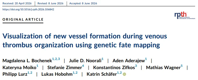 Genetic Fate Mapping Reveals Endothelial Cells During Venous Thrombus Resolution - RPTH Journal 1 RPTH Journal