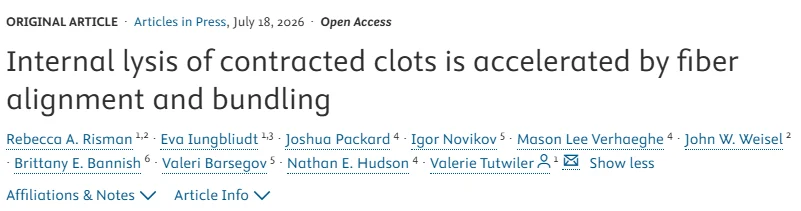 Rebecca Risman: Deciphering the Mechanisms of Fibrinolysis in Contracted Clots
