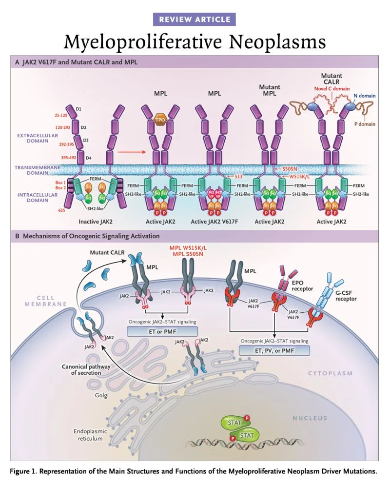 NEJM Group