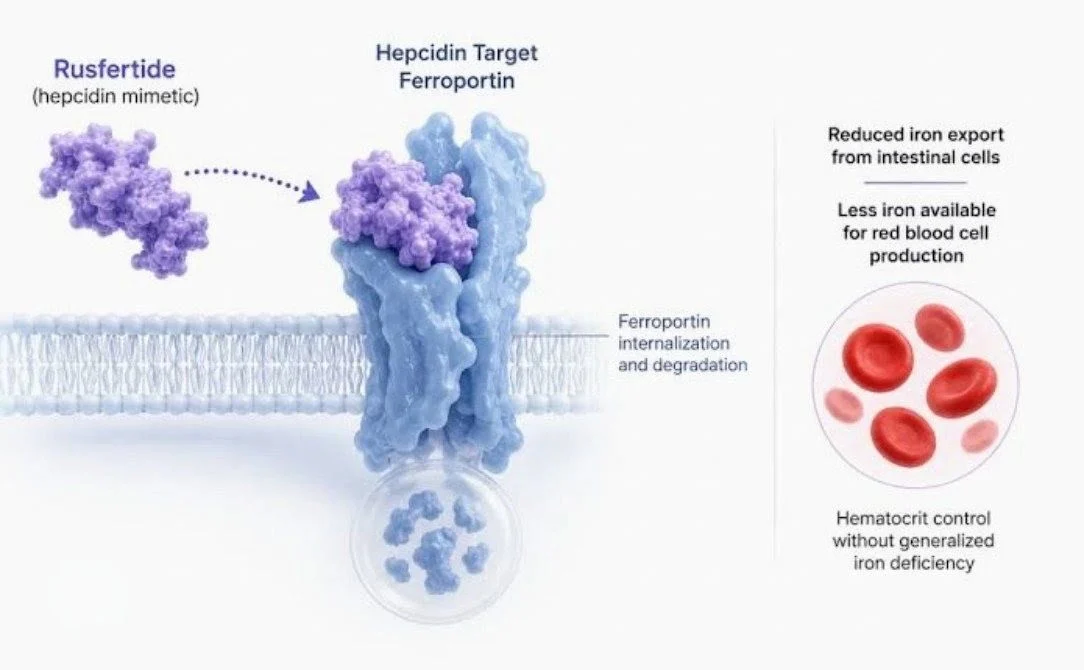 Bhalchandra Kawdikar: FDA Approves Rusfertide for Polycythemia Vera