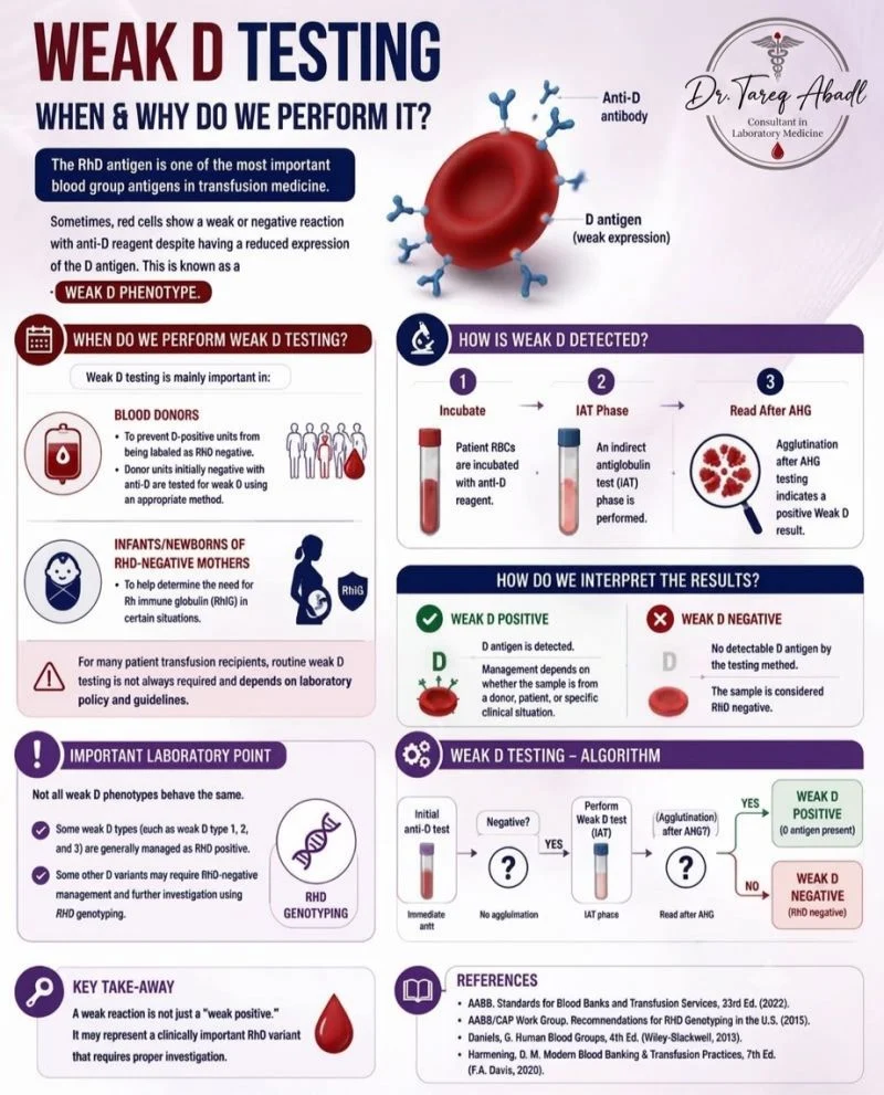 Tareq Abadl: When and Why Do We Perform Weak D Testing? 1 Tareq Abadl