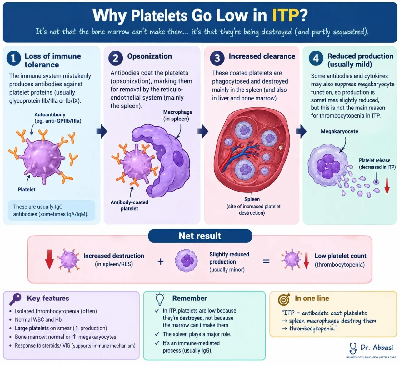 Abdul Muqtadir Abbasi: Why Platelets Go Low in ITP? 1 Abdul Muqtadir Abbasi: Why Platelets Go Low in ITP?