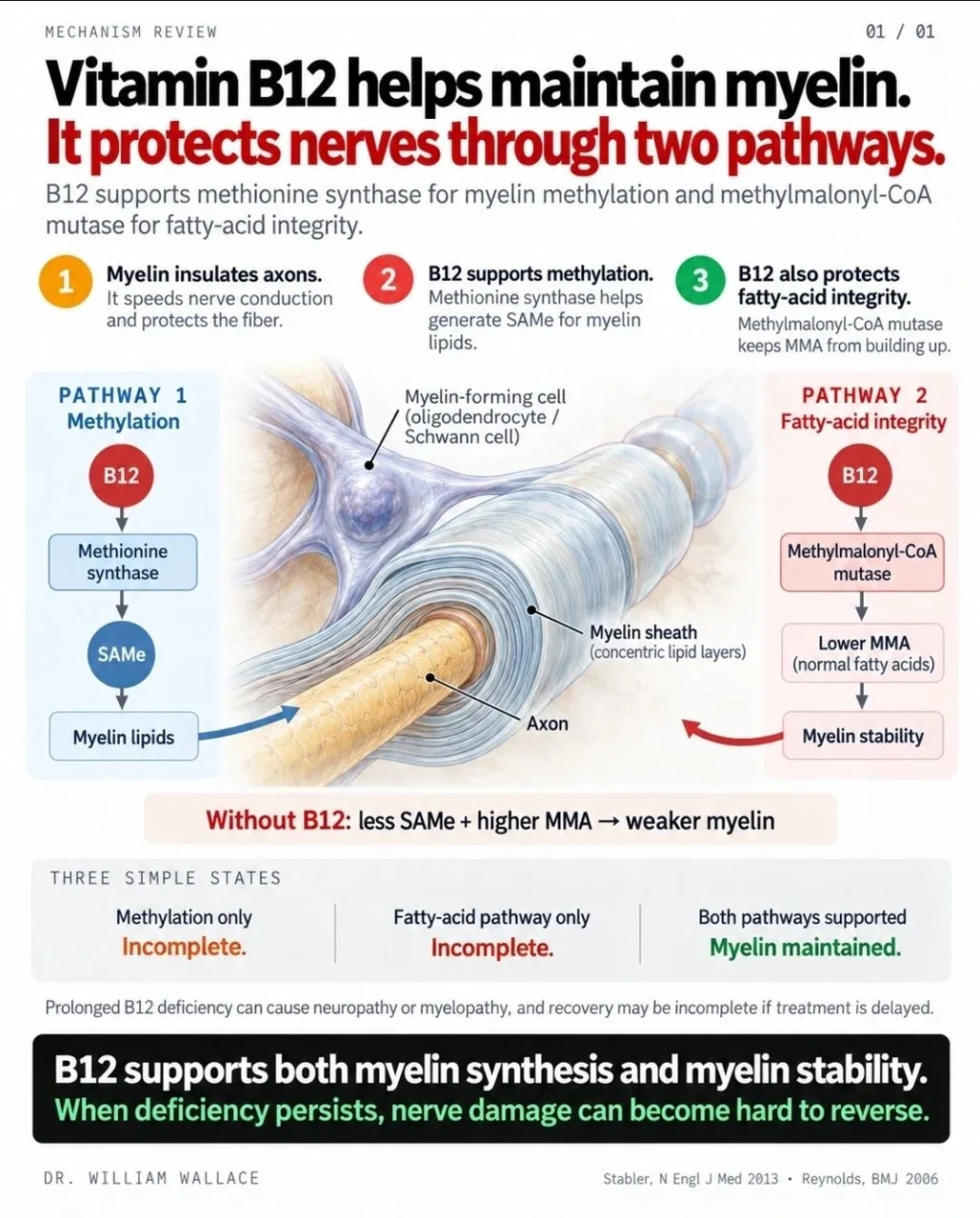 William Wallace: The Neurologic Consequences of Vitamin B12 Deficiency 1 William Wallace: The Neurologic Consequences of Vitamin B12 Deficiency