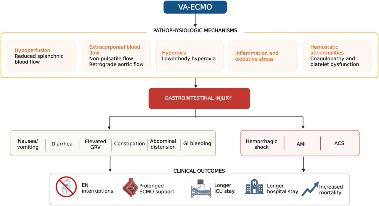 Rob Mac Sweeney: How Venoarterial ECMO Can Affect the Gastrointestinal System