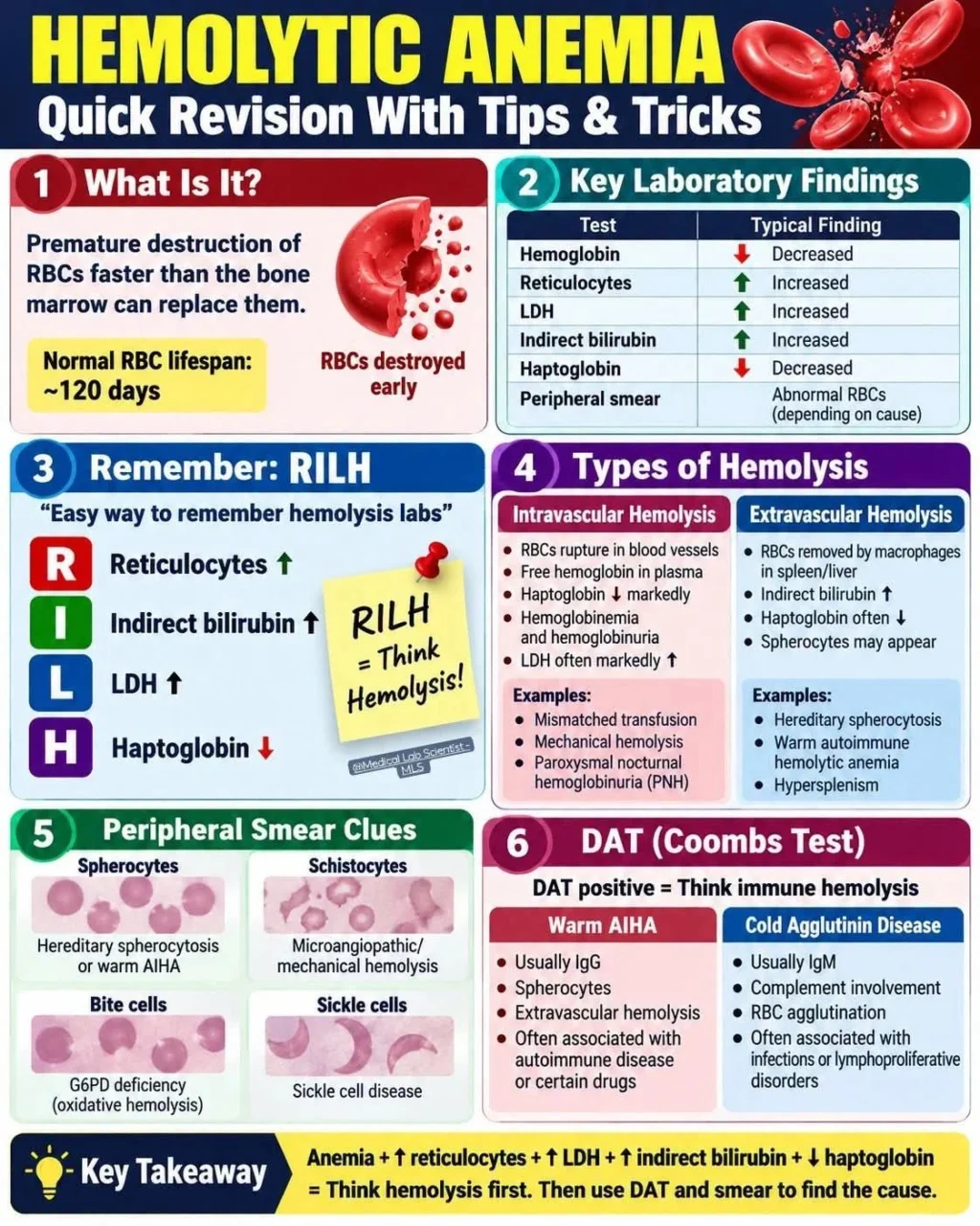 Lesley Van Wyk: Hemolytic Anemia Quick Revision - Tips and Tricks 1 Lesley Van Wyk: Hemolytic Anemia Quick Revision - Tips and Tricks