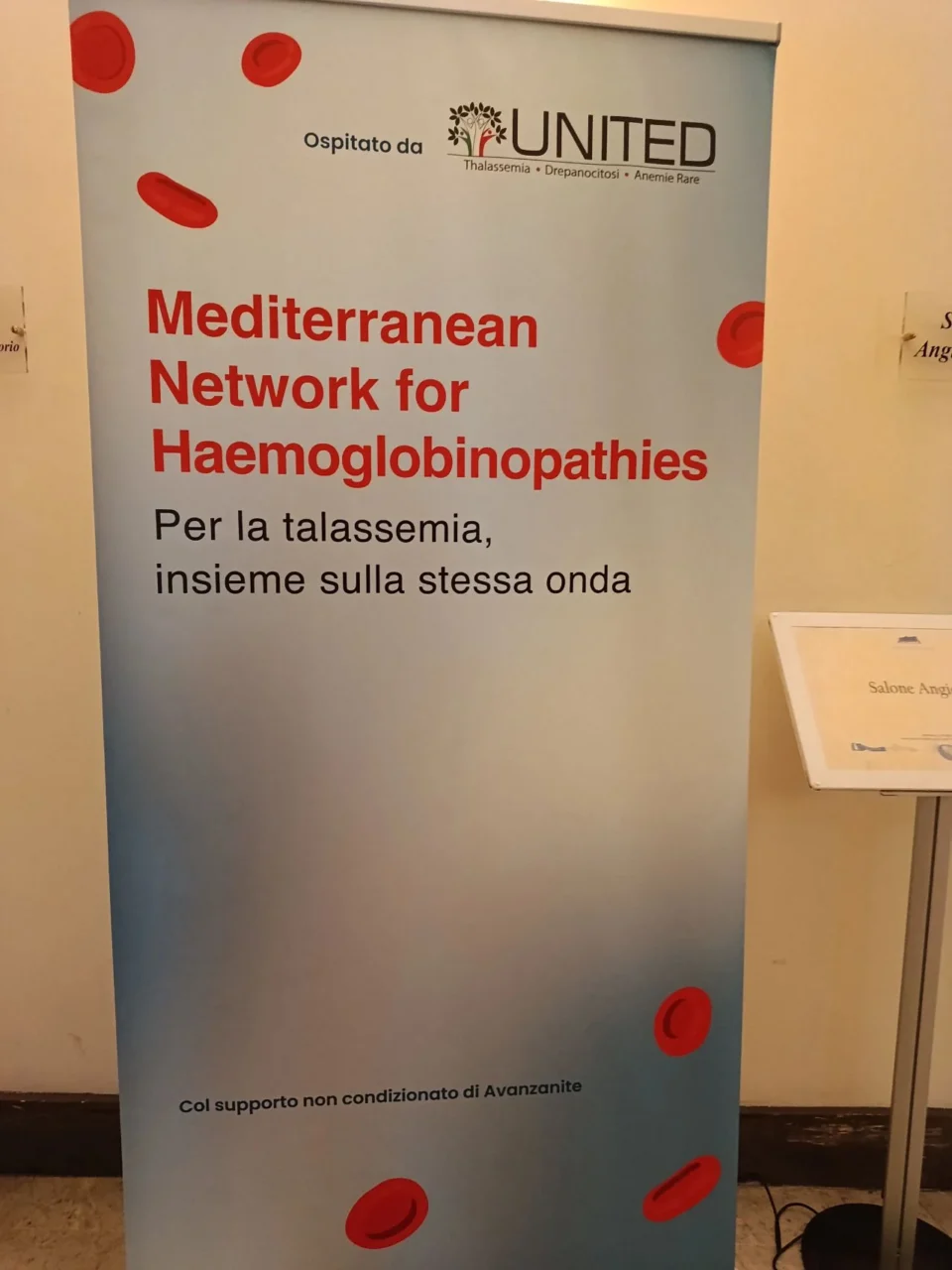 Sophia Delicou: Mediterranean Network for Haemoglobinopathies and Regional Collaboration