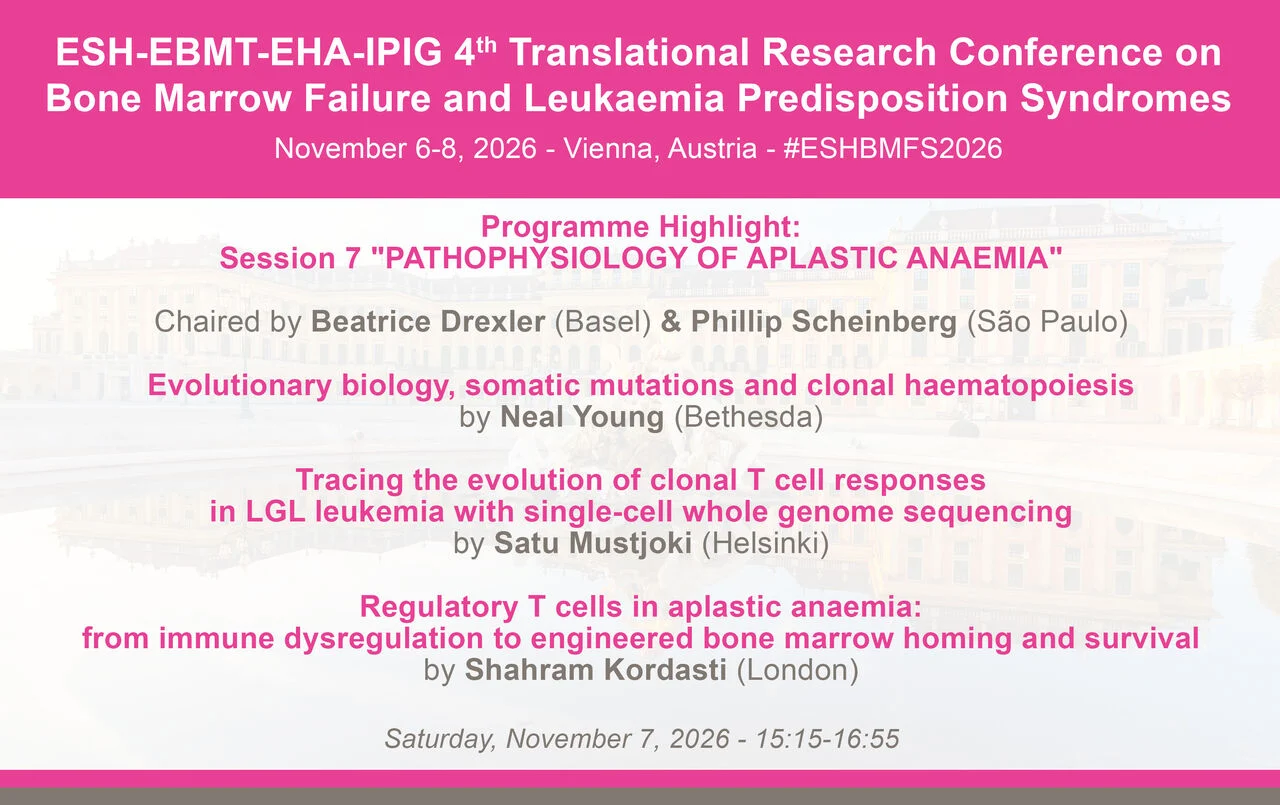 Tim Brümmendorf: Exciting Sessions Ahead at ESHBMFS2026