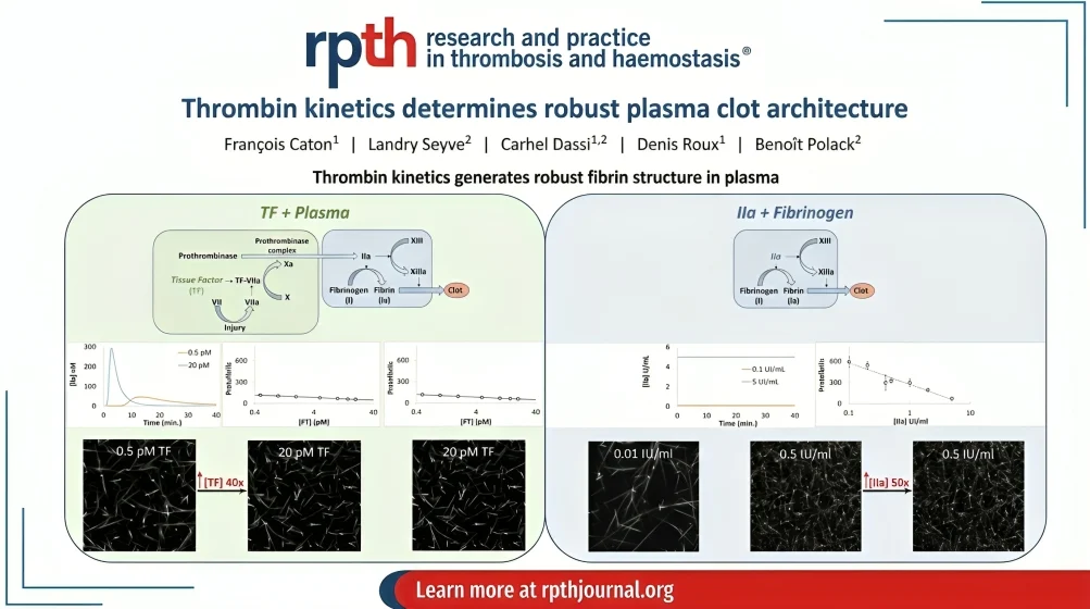 Why Does Plasma Form Such Robust Fibrin Clots – RPTH Journal