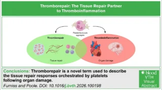 Jonathan Furniss: The Platelet Response That Helps Drive Tissue Repair