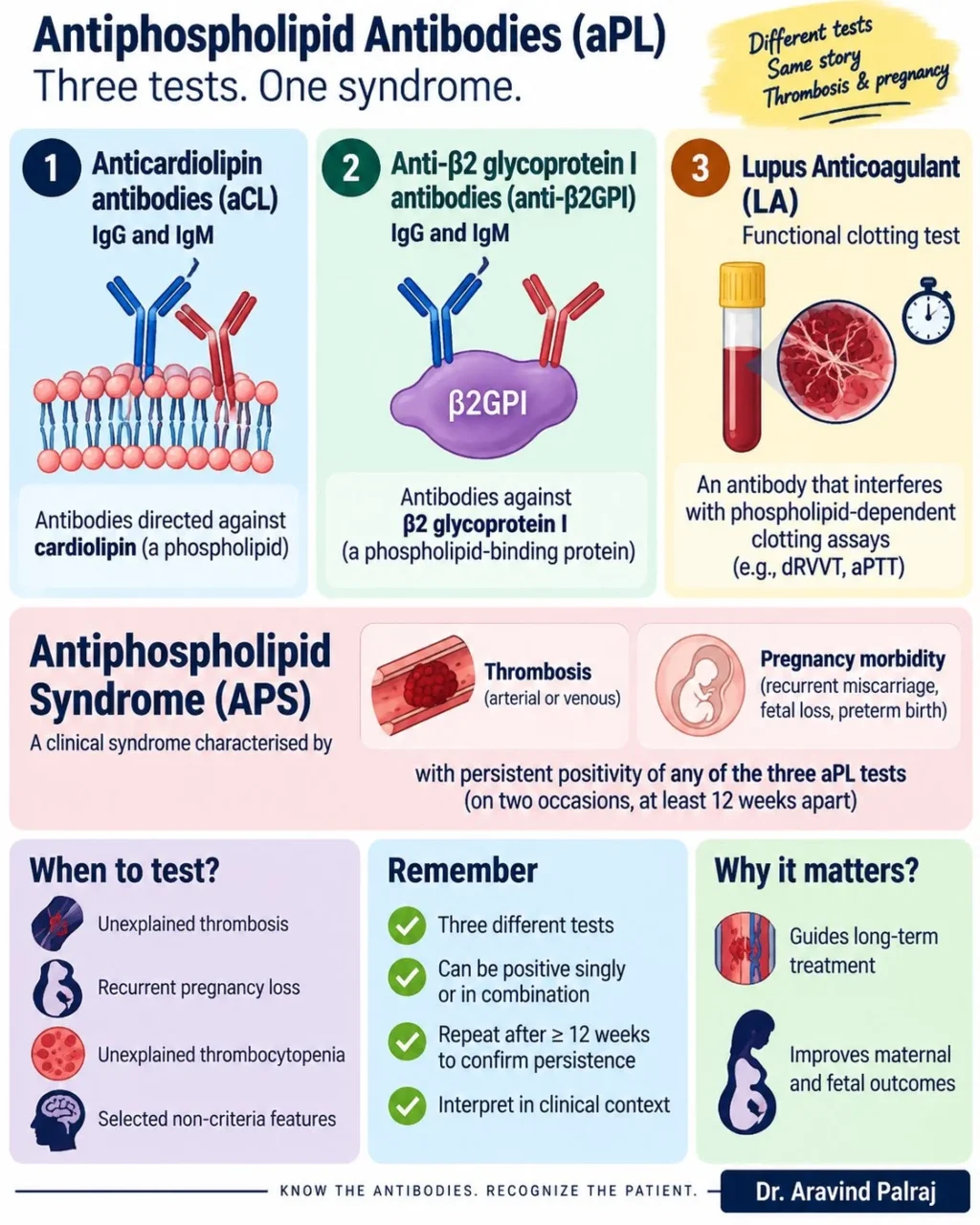 Aravind Palraj: Three Essential Tests in Antiphospholipid Syndrome 1 Aravind Palraj: Three Essential Tests in Antiphospholipid Syndrome