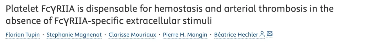 Does Platelet FcγRIIA Really Amplify Thrombosis on Its Own? - RPTH Journal 1 Does Platelet FcγRIIA Really Amplify Thrombosis on Its Own? - RPTH Journal