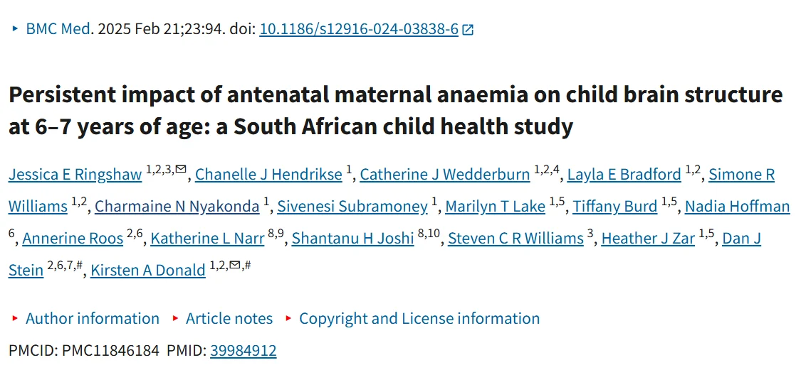 Sudhir Kumar: Maternal Anemia May Shape a Child’s Brain Development