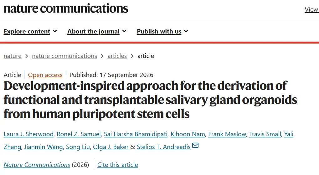 Stelios Andreadis։ Human Salivary Gland Organoids Offer New Potential for Regenerative Medicine
