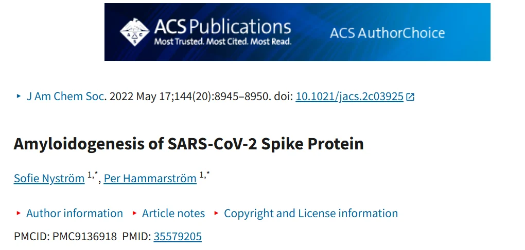 Gerardo Moscatelli: The Spike Protein Cascade - From Endothelial Binding to Vascular Collapse