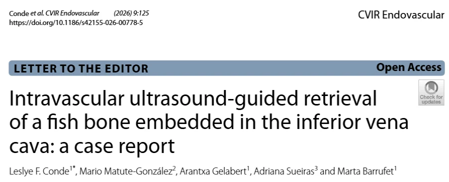 Leslye Conde Bazán: When Conventional Imaging Is Not Enough - The Role of IVUS