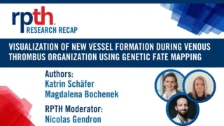 Genetic Fate Mapping Reveals Endothelial Cells During Venous Thrombus Resolution - RPTH Journal