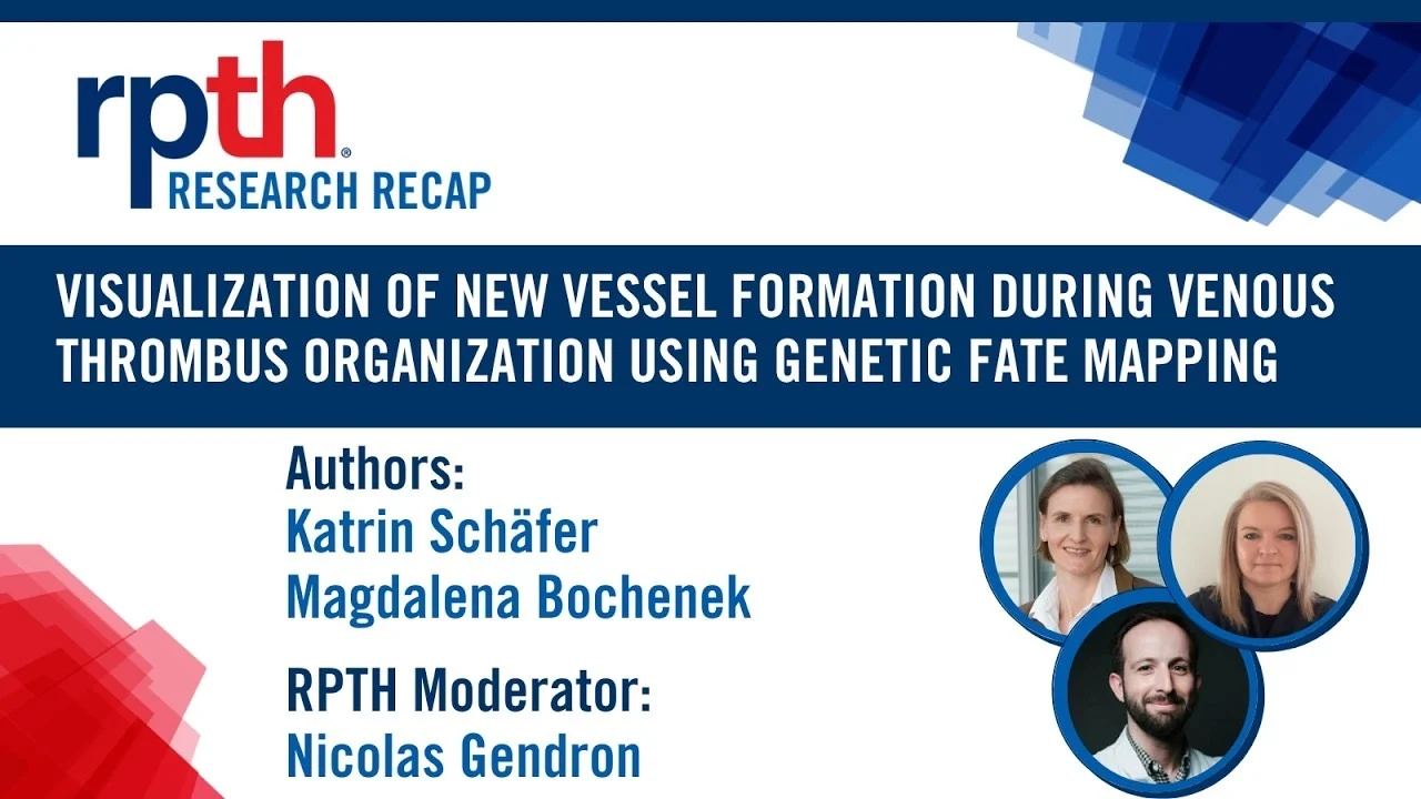 Genetic Fate Mapping Reveals Endothelial Cells During Venous Thrombus Resolution – RPTH Journal