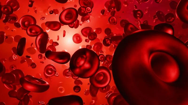 Yuria Ito: Does an MCV Below 100 Mean There Is No Vitamin B12 Deficiency?