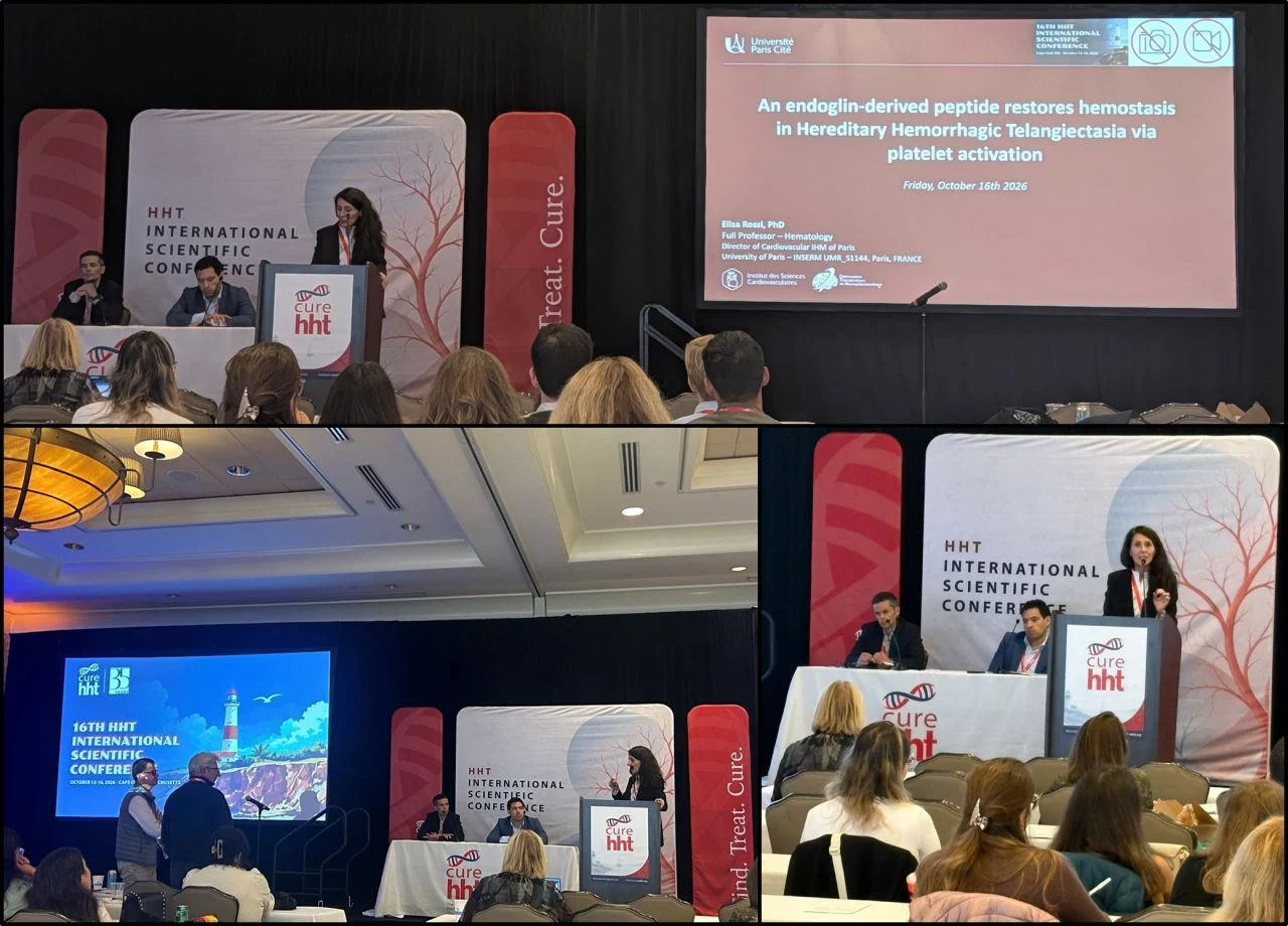 Elisa Rossi: Advancing HHT Research at the 16th International Conference